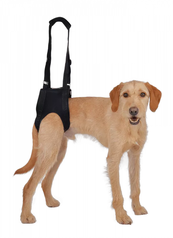 Vetlando Gehhilfe S schwarz